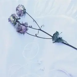 Maybe Something, Maybe Nothing by Soft Touch