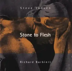 Stone to Flesh by Steve Jansen & Richard Barbieri
