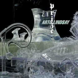 Prize by Arto Lindsay