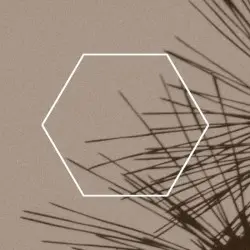 Systematic by Yamaoka