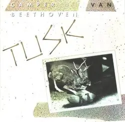 Tusk by Camper Van Beethoven