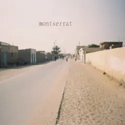 Montserrat by Little Mighty Zebra Rabbit