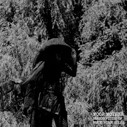 Analog Fluids of Sonic Black Holes by Moor Mother