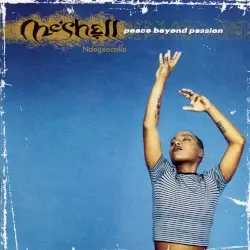 Peace Beyond Passion by Me’Shell Ndegéocello