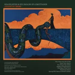 Jinxed by Being by Shackleton & Six Organs of Admittance