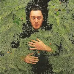 Fantaisie militaire by Alain Bashung