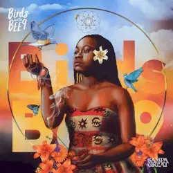 Birds and the BEE9 by Sampa the Great