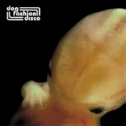 The Embryo’s in Bloom by Dog Fashion Disco
