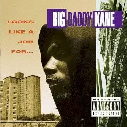 Looks Like a Job For… by Big Daddy Kane