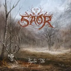 Forgotten Paths by Saor