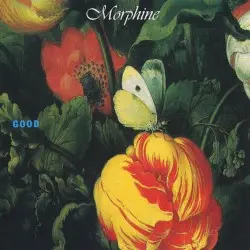 Good by Morphine