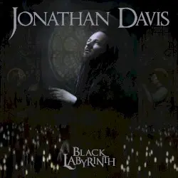 Black Labyrinth by Jonathan Davis