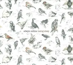 Losing Sleep by Edwyn Collins