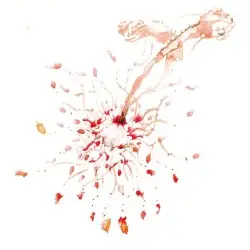 Cancer by My Disco