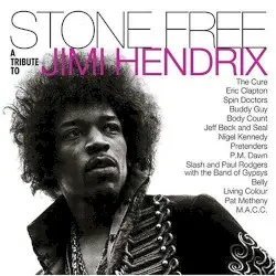 Stone Free: A Tribute to Jimi Hendrix by Various Artists