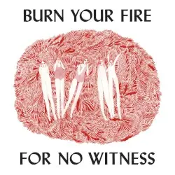 Burn Your Fire for No Witness by Angel Olsen