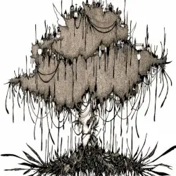 picnic by THE NOVEMBERS