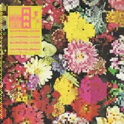 Superbloom by Ra Ra Riot