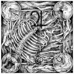 Aphotic by Jupiterian
