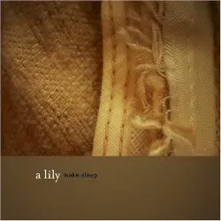 Wake:Sleep by A Lily