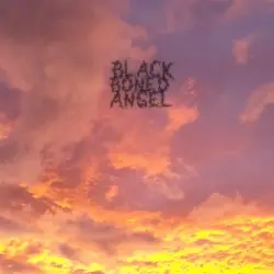 The End by Black Boned Angel