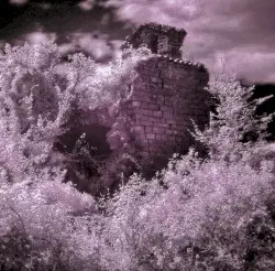 Benjamin’s Dream by The Lonely Bell