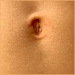 [Uterus] by Void Sigil