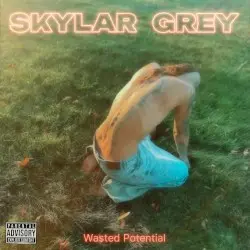 Wasted Potential by Skylar Grey