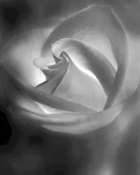 In the Frame of an Old Skyline Waltz, We Shall Take a Walk Through the Ruins of America, as Light Starts Creeping Around Into a Vast Field of Dust and Dirt by Wings of an Angel