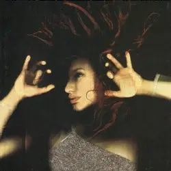 From the Choirgirl Hotel by Tori Amos