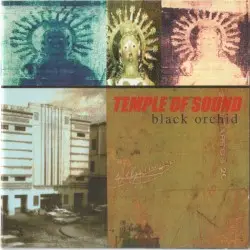 Black Orchid by Temple of Sound