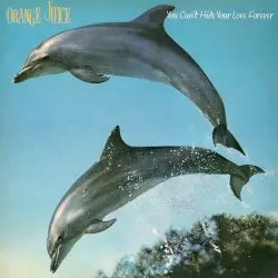 You Can’t Hide Your Love Forever by Orange Juice