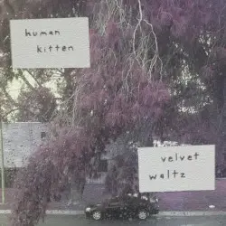 Velvet Waltz by Human Kitten