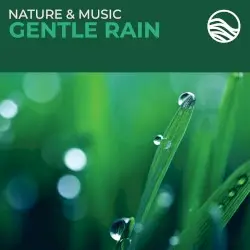 Gentle Rain by David Arkenstone