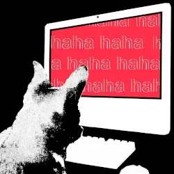 Haha by Lilac Boy