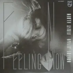 Feeling Now by Junko Ohashi