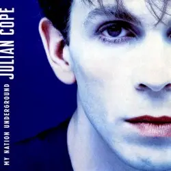 My Nation Underground by Julian Cope
