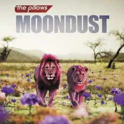 ムーンダスト by the pillows