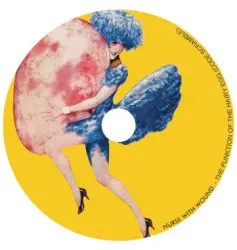 The Funktion of the Hairy Egg (Code Scramble) by Nurse With Wound