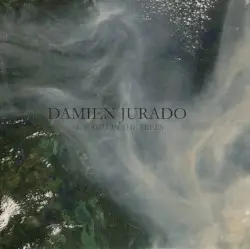 Caught in the Trees by Damien Jurado