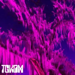 TGKOM EP by The Good Kind of Mushroom