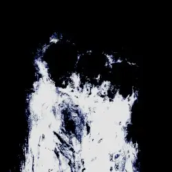 DISCO by BRB>Voicecoil + Omnibadger