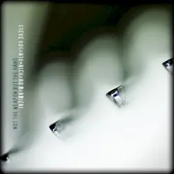 Not the Weapon but the Hand by Steve Hogarth + Richard Barbieri
