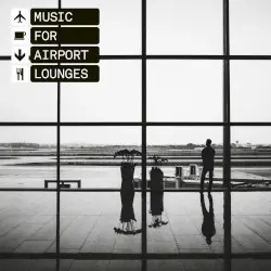 Music for Airport Lounges by The Black Dog
