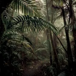NEST LP / TAPE by Made in M & smuv
