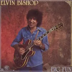 Big Fun by Elvin Bishop