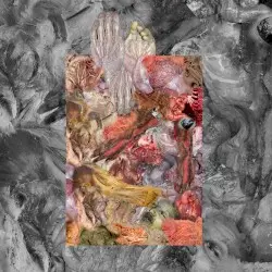 The Stench of Organs and Purulence Rapidly Decomposing by Golem of Gore / Lipoma