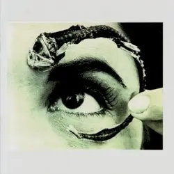 Disco Volante by Mr. Bungle
