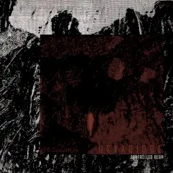 Controlled Burn by Hexadiode