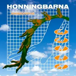Animorphs by Honningbarna